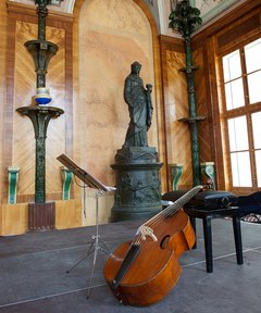 Palmensaal mit Cello